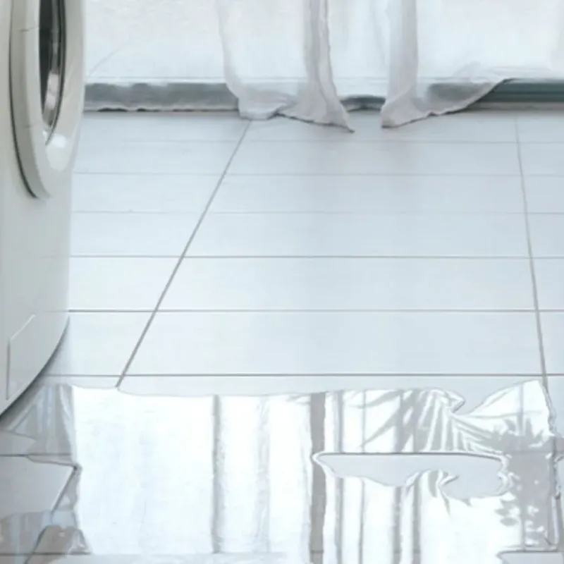 Appliance Leak Cleanup in Winnsboro, LA