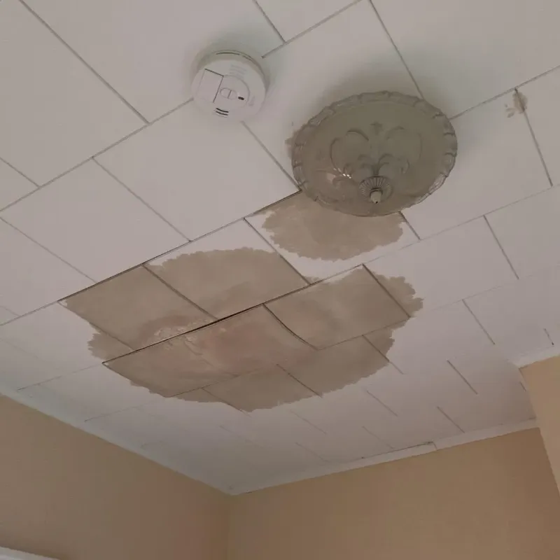 Ceiling Water Damage Repair in Winnsboro, LA