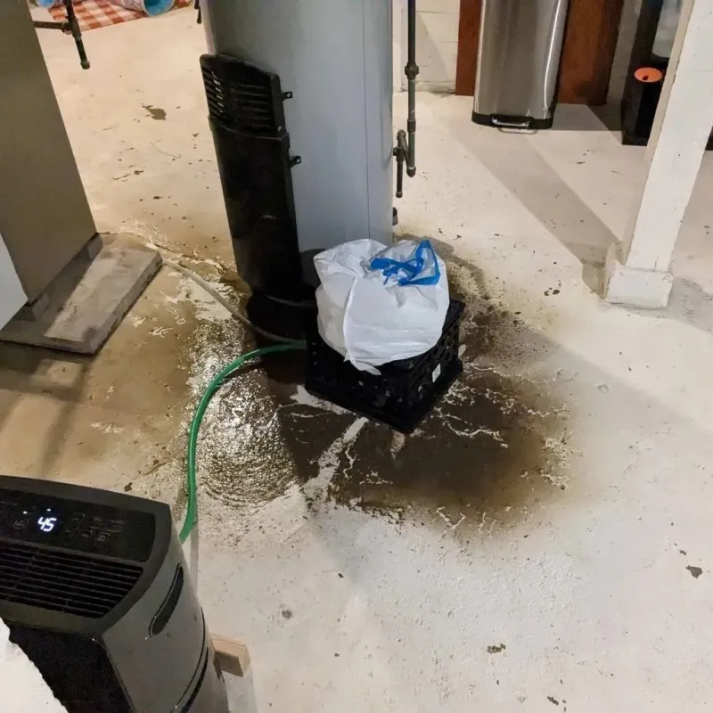 Sewage Backup Cleanup Service in Winnsboro, LA